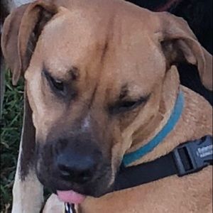 Meet your Posher, Walterwalter